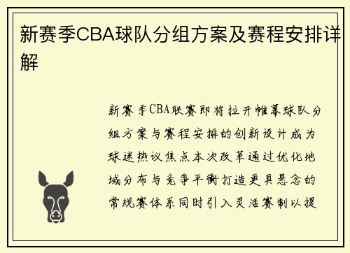 新赛季CBA球队分组方案及赛程安排详解
